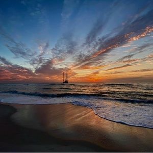 Meet your Posher, Peyton